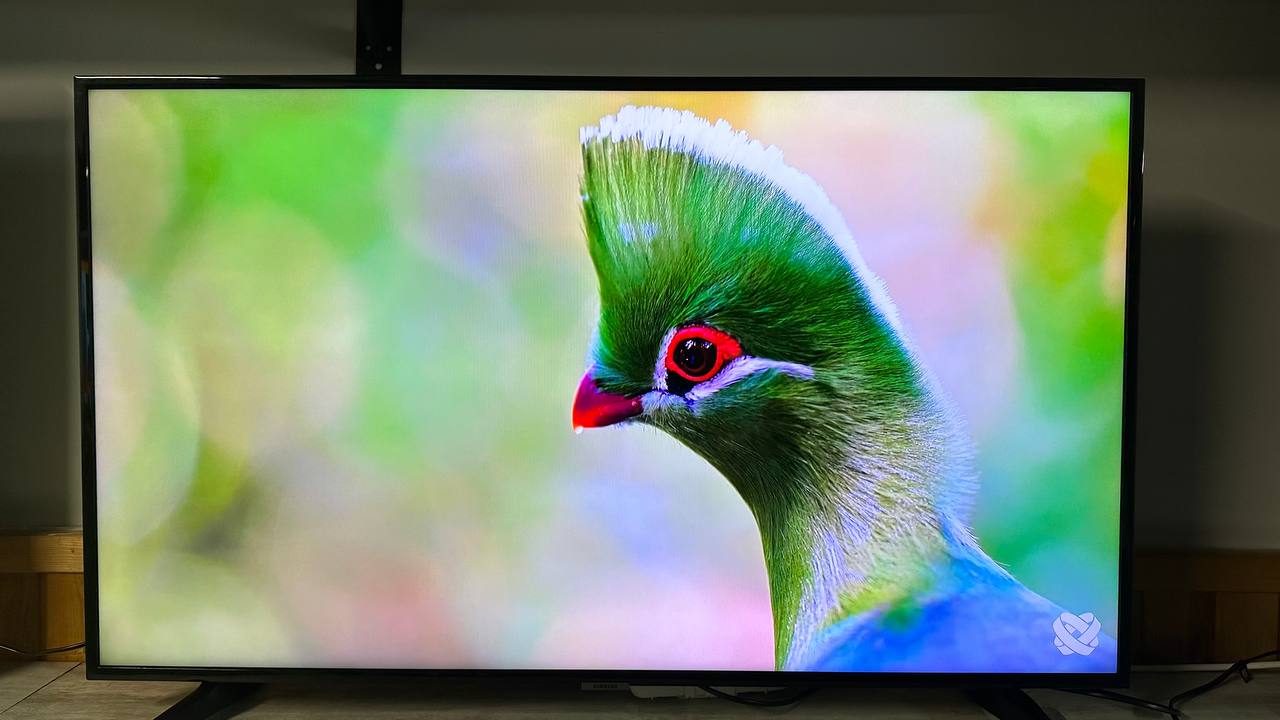 купить плазму 43 дюймов бу