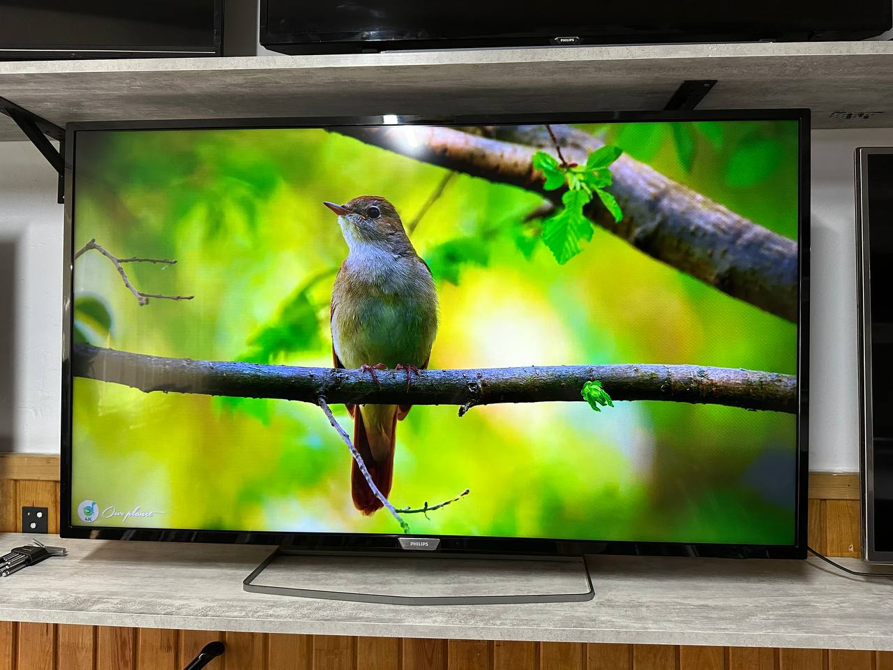 купить телевизор 50 дюймов бу