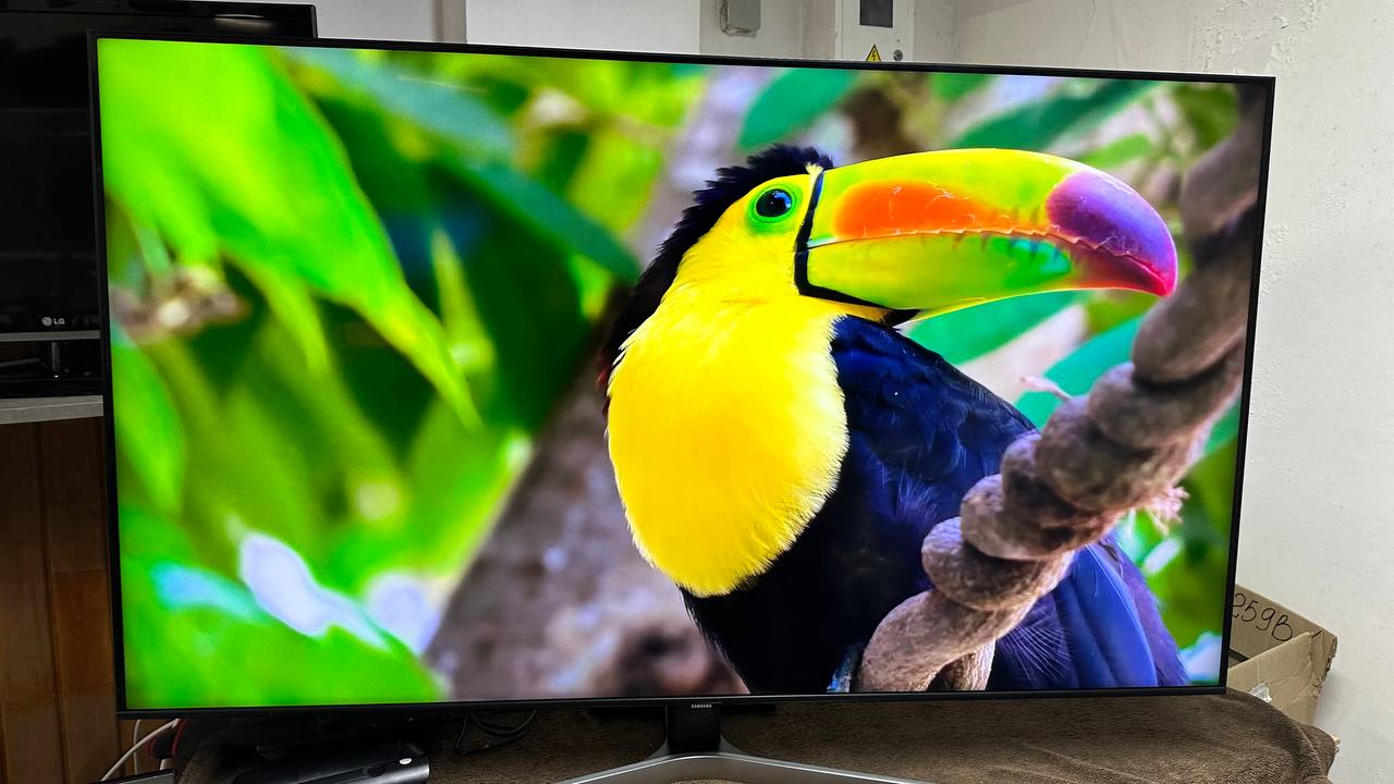 купить плазму 55 дюймов бу